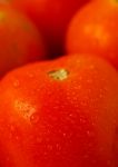 Drops Of Water On Tomatoes Stock Photo