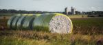 Bales Of Cotton In Oakey, Queensland Stock Photo