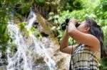 Girl Using Binoculars In Forest Stock Photo