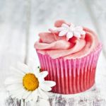 Cupcake Stock Photo