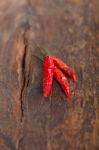 Dry Red Chili Peppers Stock Photo