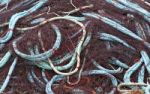 Fishing Net Stock Photo