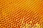 Honey Stock Photo