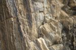 Close-up Of A Rock Wall Stock Photo