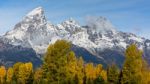 Autumn Colours In The Grand Teton National Park Stock Photo