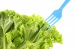 Green Lettuce Salad And Blue Fork Isolated Stock Photo