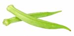 Young Okra Isolated On The White Background Stock Photo