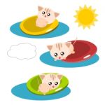 Cartoon Cat In The Pool Illustration Stock Photo