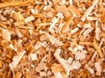 Curls Of Wood Shavings Stock Photo