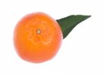 Orange Stock Photo