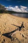 Adams Beach On Stradbroke Island, Queensland Stock Photo