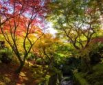 Autumn Foliage At Tofukuji Temple, Kyoto Stock Photo