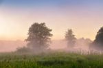 Summer Misty Dawn On The Bog. Foggy Swamp In The Morning Stock Photo