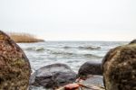 Shore Of The Lake In Autumn Stock Photo