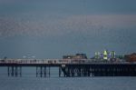 Brighton, East Sussex/uk - January 26 : Starlings Over The Pier Stock Photo