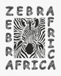 Zebra - Black And White Africa Background Stock Photo