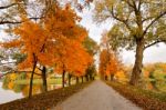 Autumn October Colorful Park. Foliage Trees Alley Stock Photo