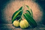 Fresh Garcinia Cambogia On Wooden Background. Vintage Tone Stock Photo