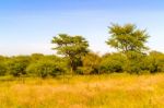 Landscape Near Windhoek In Namibia Stock Photo