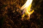 Burning Ashes Of A Paper Airplane Stock Photo