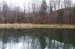 Beautiful Pond In Autumn Time Stock Photo