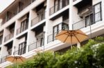 Vintage Residential Building Decorated With Green Tree Stock Photo