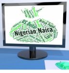 Nigerian Naira Means Forex Trading And Coin Stock Photo