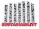 3d Image Sustainability  Issues Concept Word Cloud Background Stock Photo