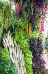 Healthy Fresh Vegetable Ingredients Displayed Stock Photo