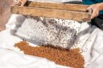 Man Sifting Through A Sieve Pine Nuts Stock Photo