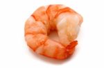 Tiger Prawn Stock Photo