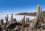 Isla De Pescadores, Salt Lake Uyuni In Bolivia Stock Photo