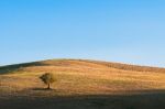 Tuscany Stock Photo