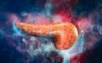 Human Pancreas Anatomy Stock Photo