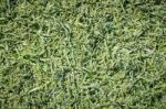 Green Fake Grass Background Stock Photo