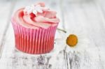 Cupcake Stock Photo