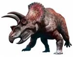 Triceratops Stock Photo