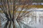 Flooded Land Near Ely Stock Photo