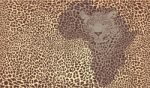 Symbol Africa In Jaguar Camouflage Stock Photo