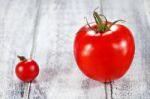 Cherry Tomatoes Stock Photo