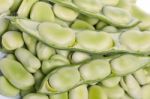 Broad Beans Stock Photo