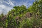 Boulders And Trees With Blue Sky In The Background Stock Photo