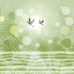 Doves Bokeh Indicates Freedom Environment And Green Stock Photo