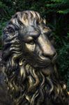 Steel Head Lion Stock Photo