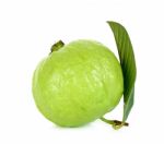 Guava Fruit Isolated On The White Background Stock Photo