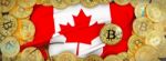 Bitcoins Gold Around Canada  Flag And Pickaxe On The Left.3d Ill Stock Photo