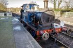 Bluebell Steam Train At Sheffield Park Station Stock Photo