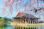 Gyeongbokgung Palace With Cherry Blossom In Spring,korea Stock Photo