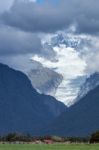 Living In The Shadow Of The Fox Glacier Stock Photo