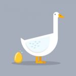 White Goose And Golden Egg Stock Photo